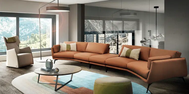 Curved Modern Sofas & Accent Chairs for a Contemporary Living Room at San Francisco Design