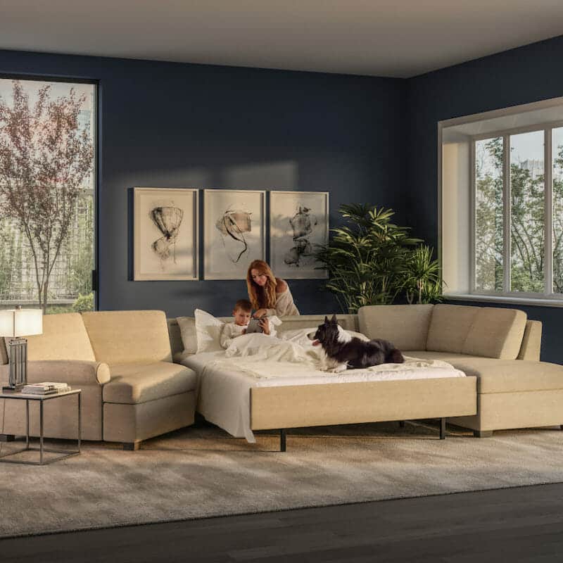 Modern Sleeper Sofa in Living Room - Leather Sofa